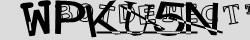 Skriv tegnene du ser i CAPTCHA billedet