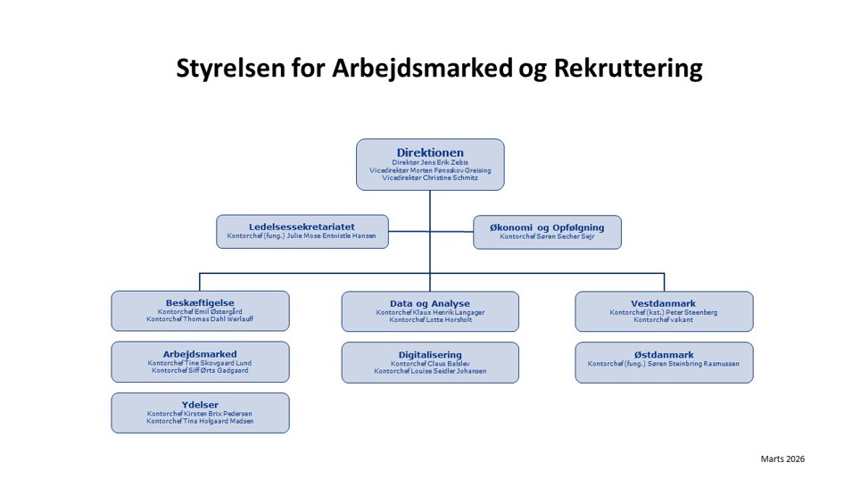 Billede: Organisationsdiagram STAR